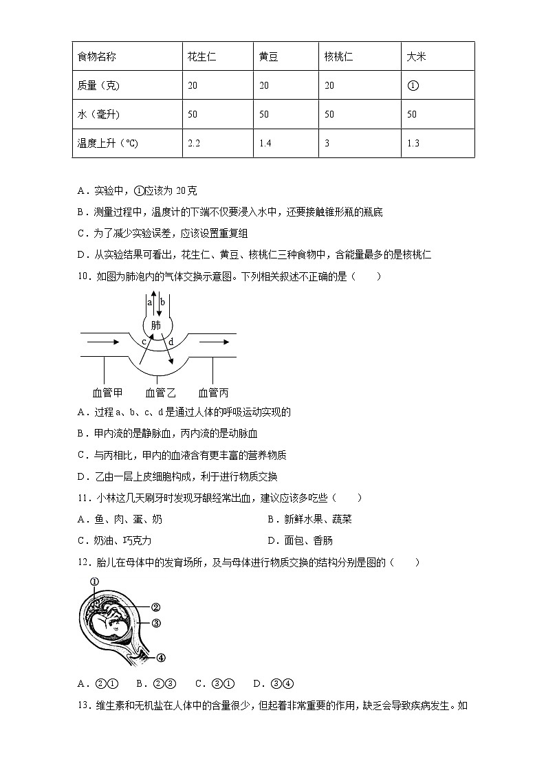 2020-2021学年人教版七年级生物下册期中复习练习题（word版 含答案）02
