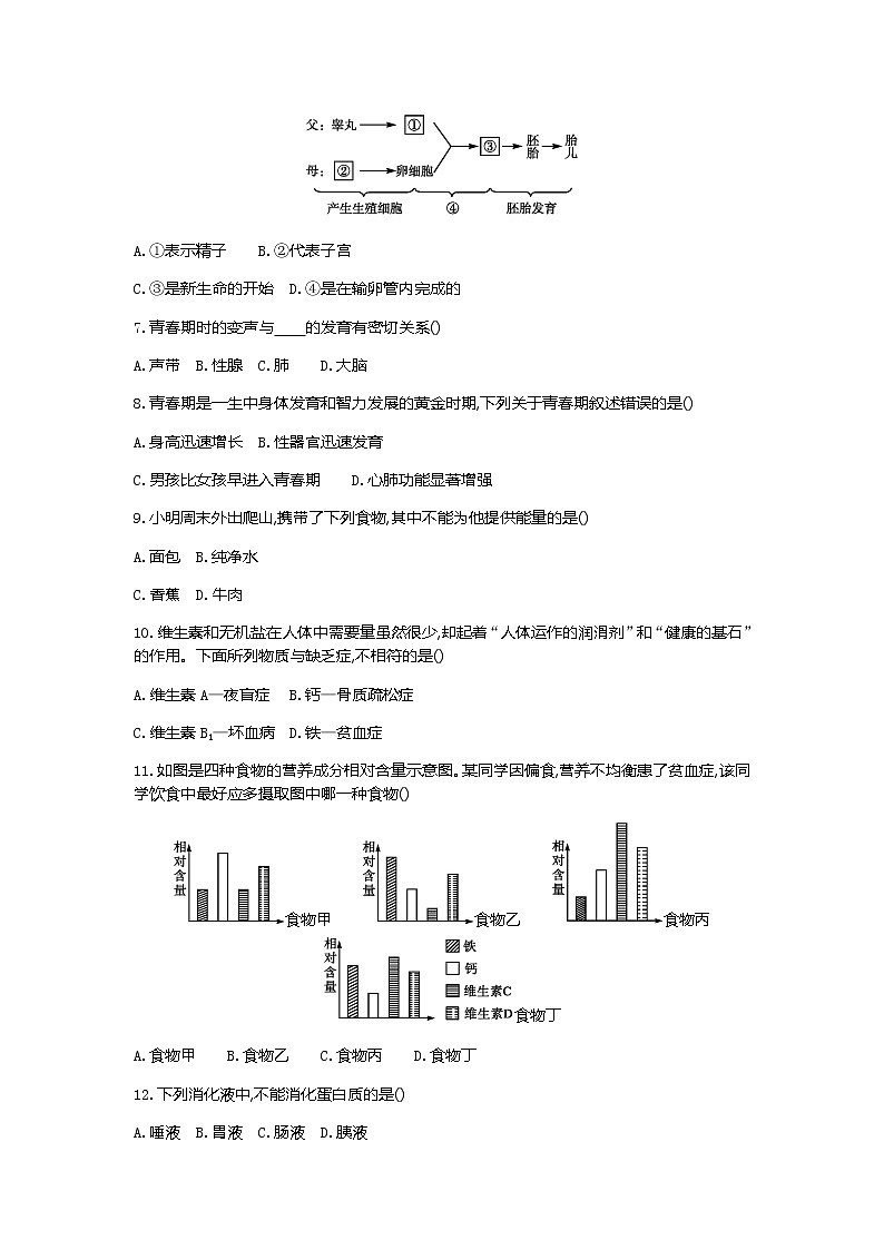 期中综合测试 2020-2021学年人教版七年级生物下册（word版 含答案）02