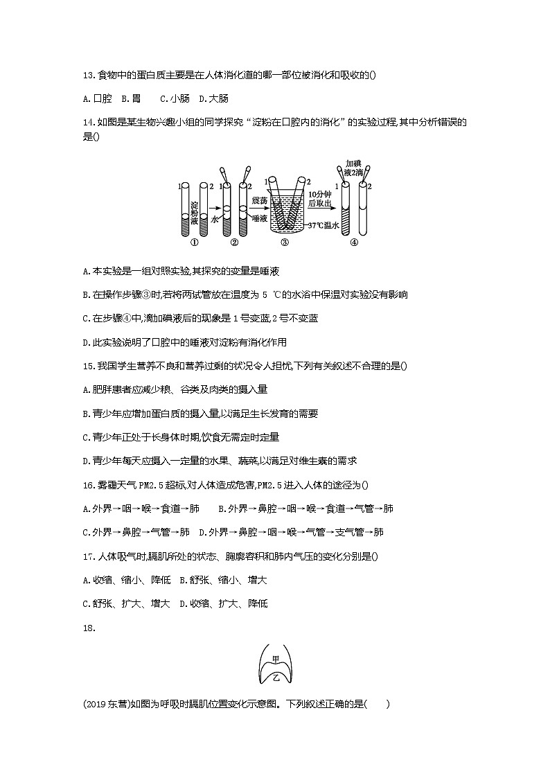 期中综合测试 2020-2021学年人教版七年级生物下册（word版 含答案）03