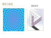 （北师大七下）12.2眼是感受外界光线的视觉器官 0 课件