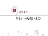 （北师大七下）12.2眼是感受外界光线的视觉器官 0 课件