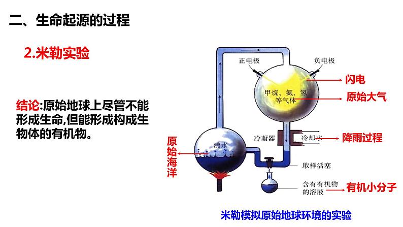 第三章  生物的起源和进化（全章知识要点，全、新、精）05