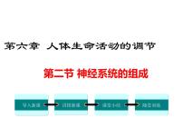 人教版 (新课标)七年级下册第二节 神经系统的组成课文配套ppt课件