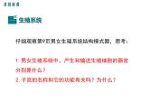 第二节  人的生殖 课件