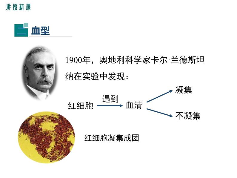 第四节 输血与血型 课件05