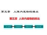 第五章 人体内废物的排出 课件