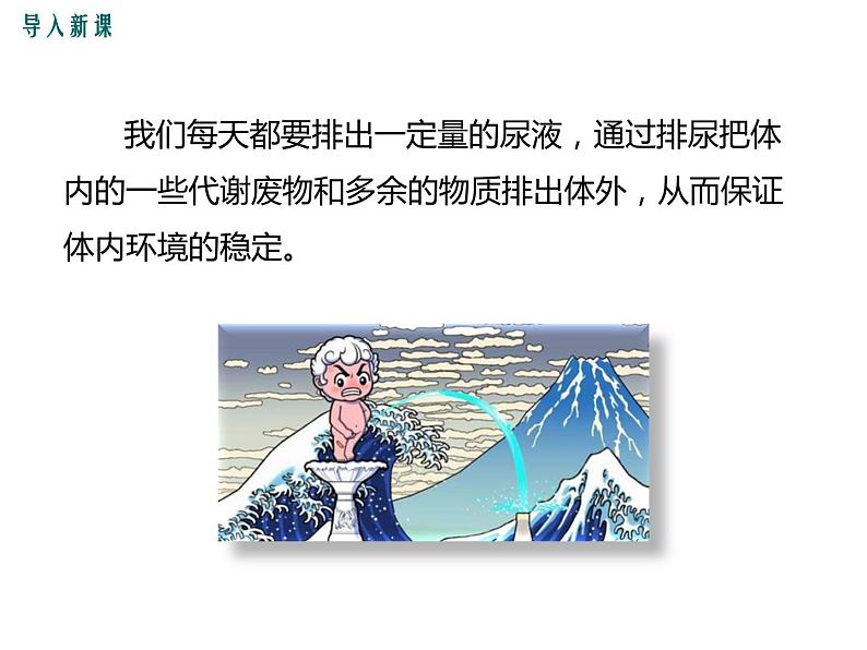 第五章 人体内废物的排出 课件02