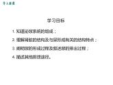 第五章 人体内废物的排出 课件
