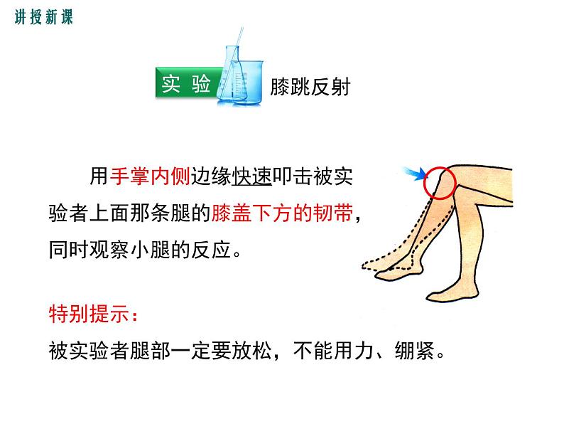 第三节 神经调节的基本方式 课件05