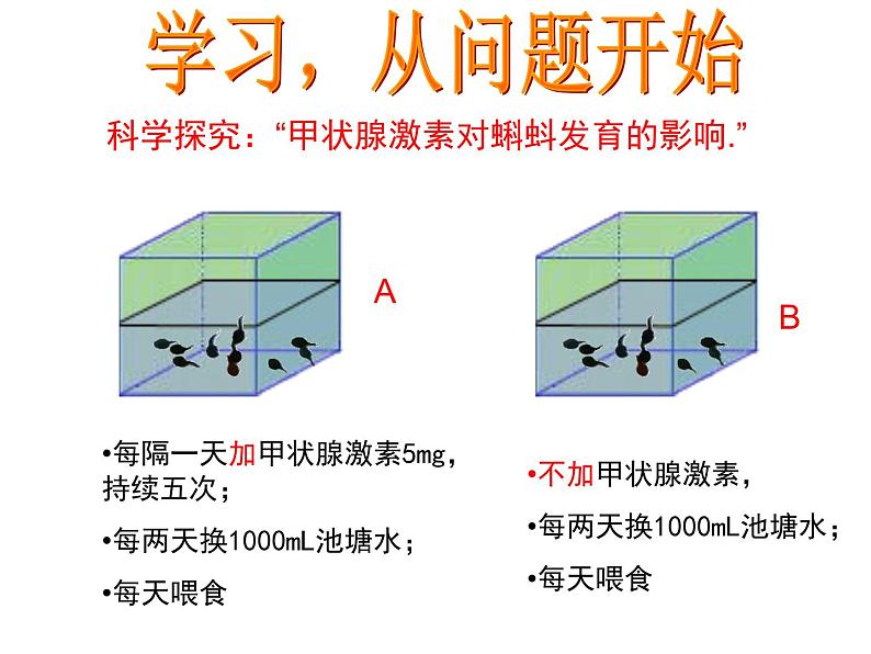 初中生物七下第四节 激素调节 课件（33张PPT）第3页