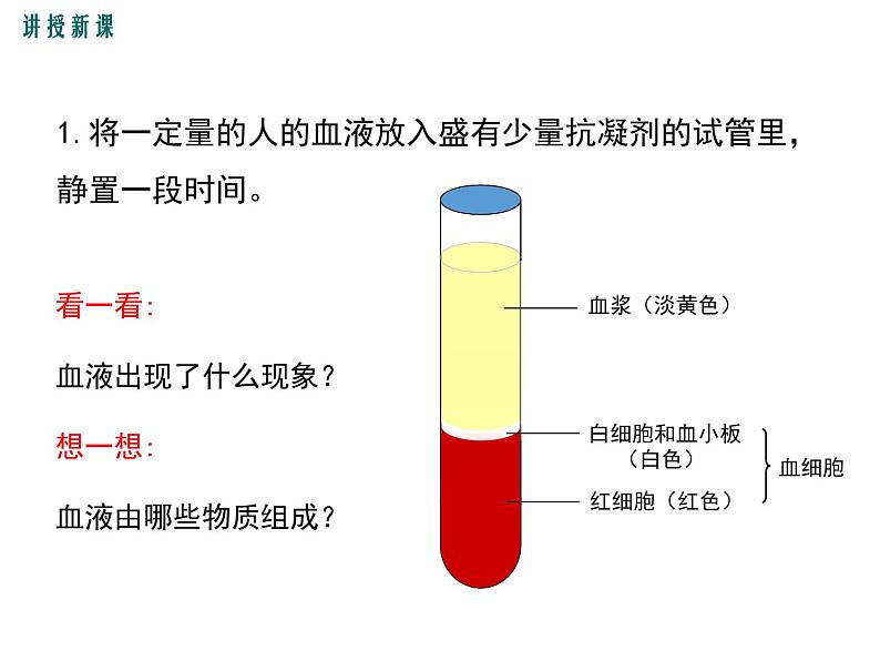 第一节 流动的组织——血液 课件04