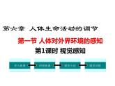 第1课时 视觉感知 课件
