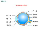 第1课时 视觉感知 课件