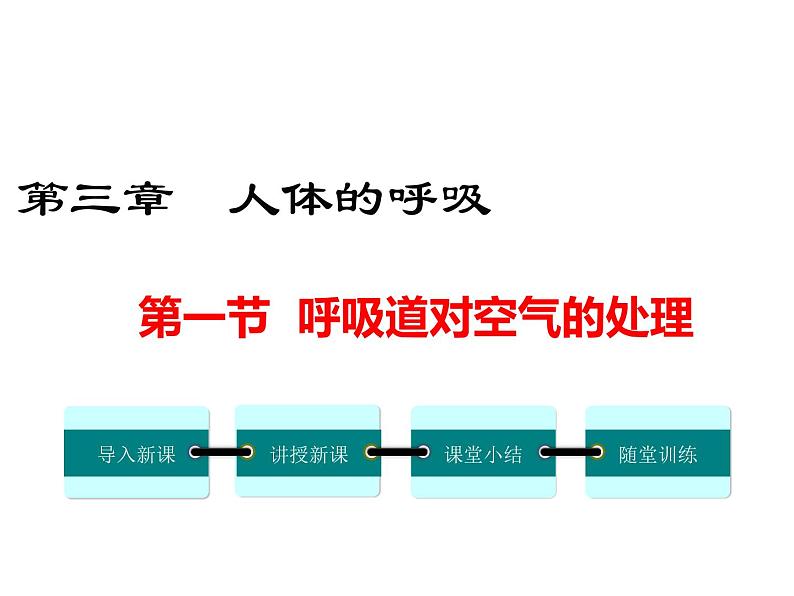 第一节 呼吸道对空气的处理 课件01