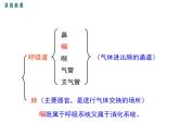 第一节 呼吸道对空气的处理 课件