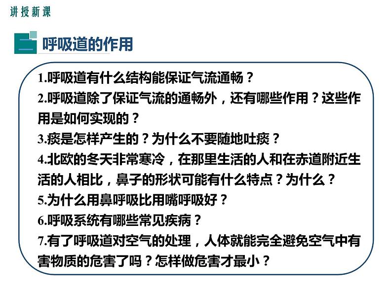 第一节 呼吸道对空气的处理 课件06