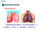 第二节 发生在肺内的气体交换 课件
