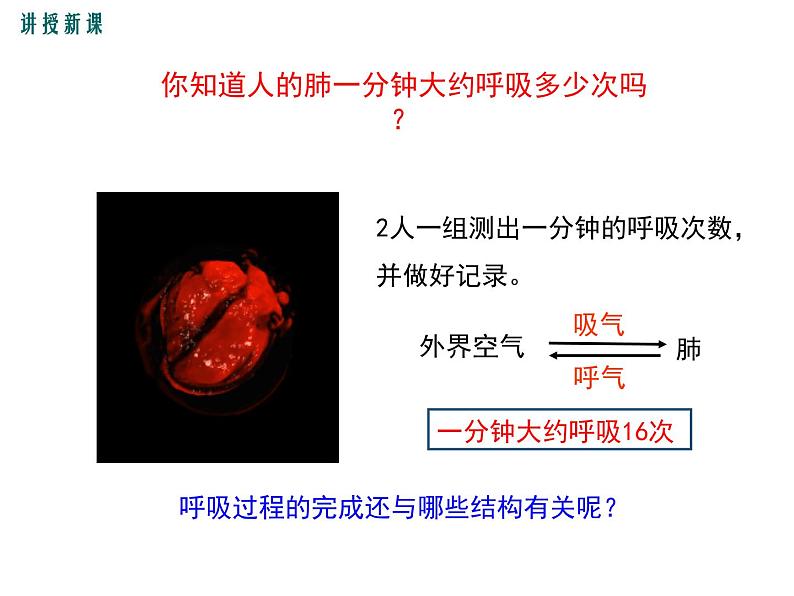 第二节 发生在肺内的气体交换第5页