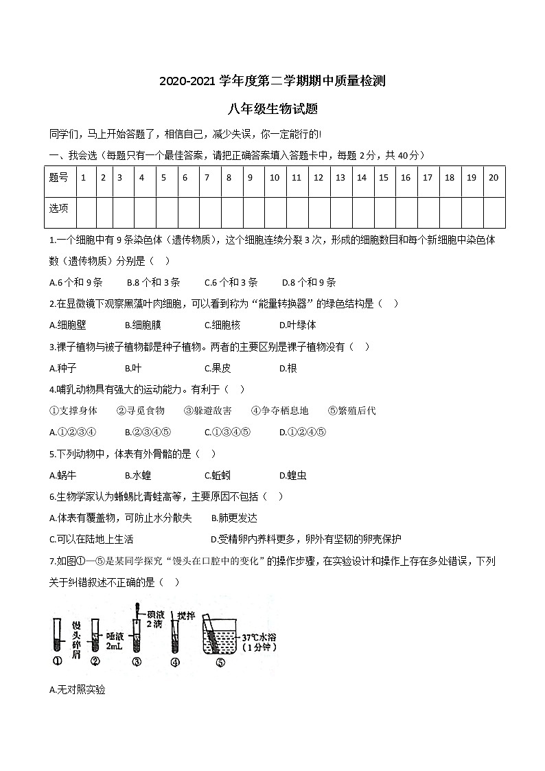 山东省济宁市金乡县2020-2021学年八年级下学期期中生物试题（word版 含答案）01