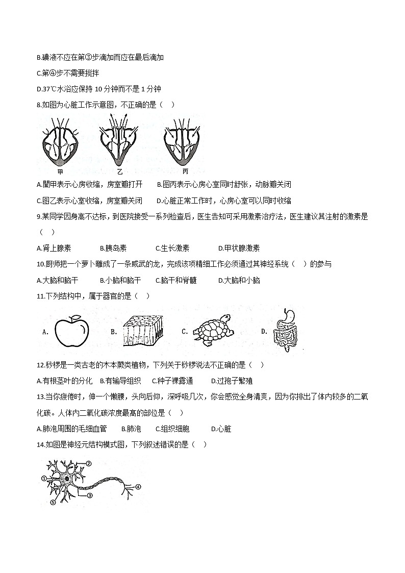 山东省济宁市金乡县2020-2021学年八年级下学期期中生物试题（word版 含答案）02