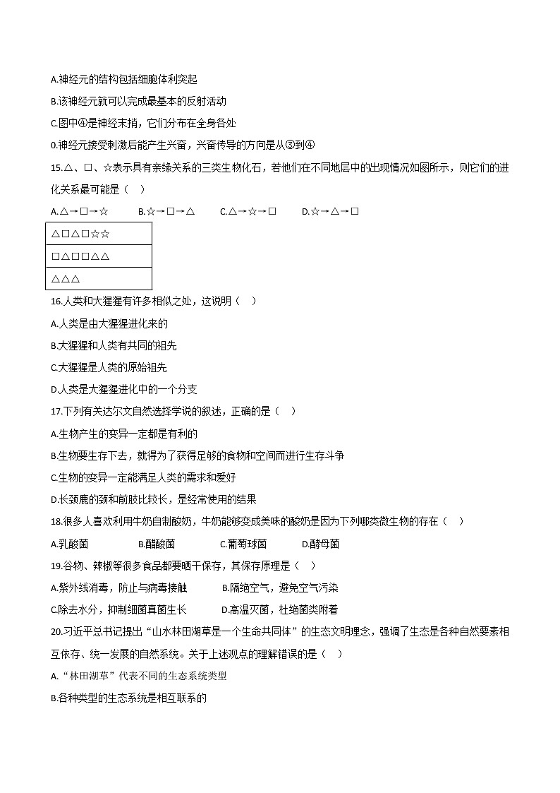 山东省济宁市金乡县2020-2021学年八年级下学期期中生物试题（word版 含答案）03