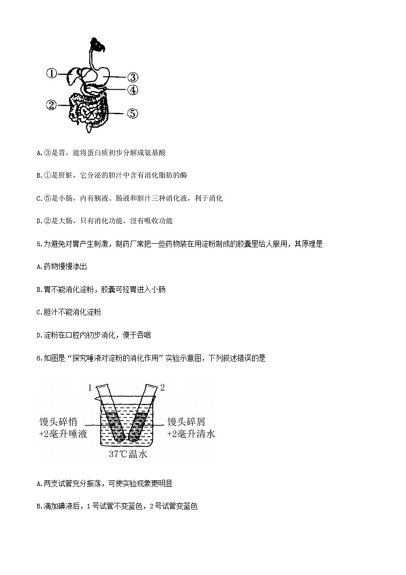 山东省德州市禹城市2020-2021学年七年级下学期期中生物试题（word版 含答案）第2页