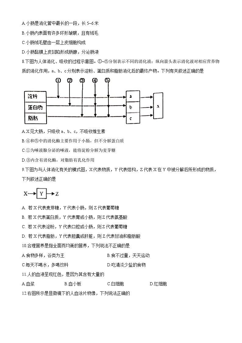 安徽省淮南市2020-2021学年七年级下学期期中生物试题（word版 含答案）02