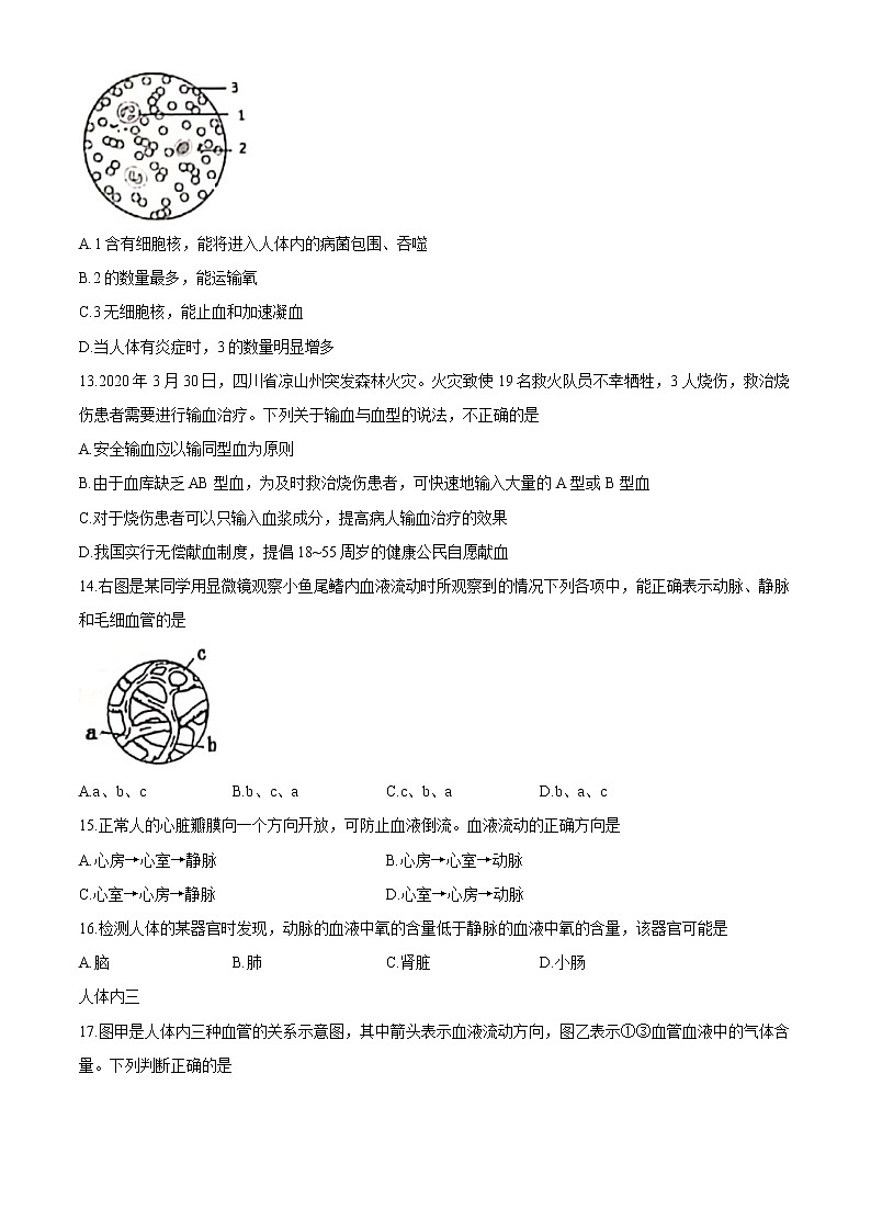 安徽省淮南市2020-2021学年七年级下学期期中生物试题（word版 含答案）03