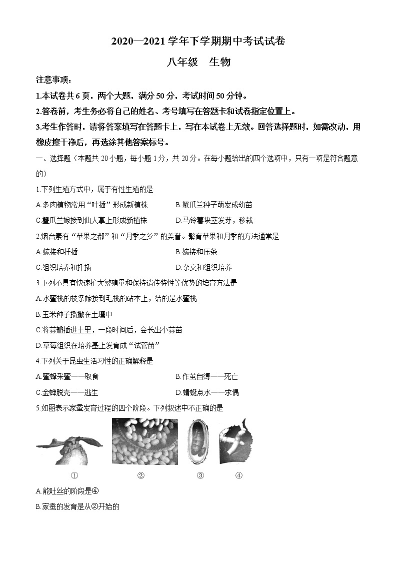 河南省郑州市新郑市2020-2021学年八年级下学期期中生物试题（word版 含答案）01