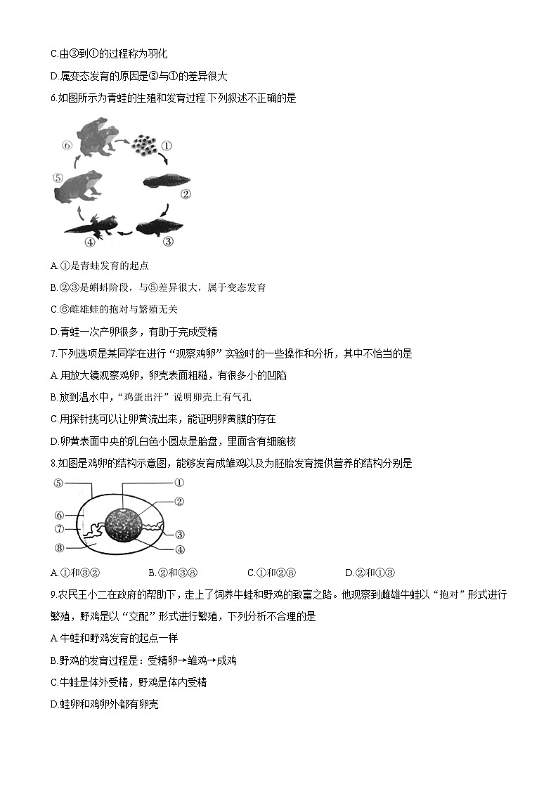 河南省郑州市新郑市2020-2021学年八年级下学期期中生物试题（word版 含答案）02