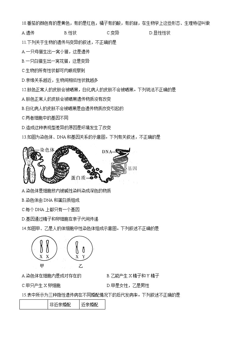 河南省郑州市新郑市2020-2021学年八年级下学期期中生物试题（word版 含答案）03