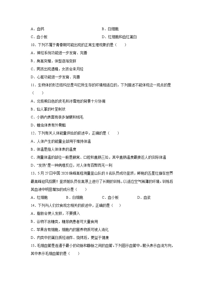 河北省石家庄市2020---2021学年第二学期期中考试七年级生物模拟练习A（word版 含答案）02