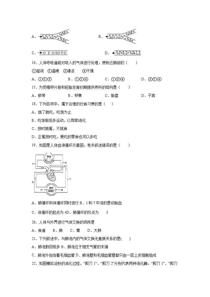 河北省石家庄市2020---2021学年第二学期期中考试七年级生物模拟练习A（word版 含答案）03