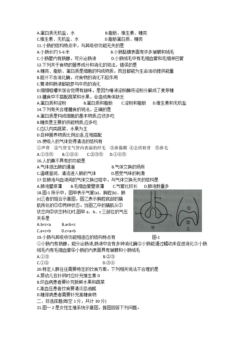 河南省漯河市临颍县2020-2021学年七年级下学期期中考试生物试题（word版 含答案）02