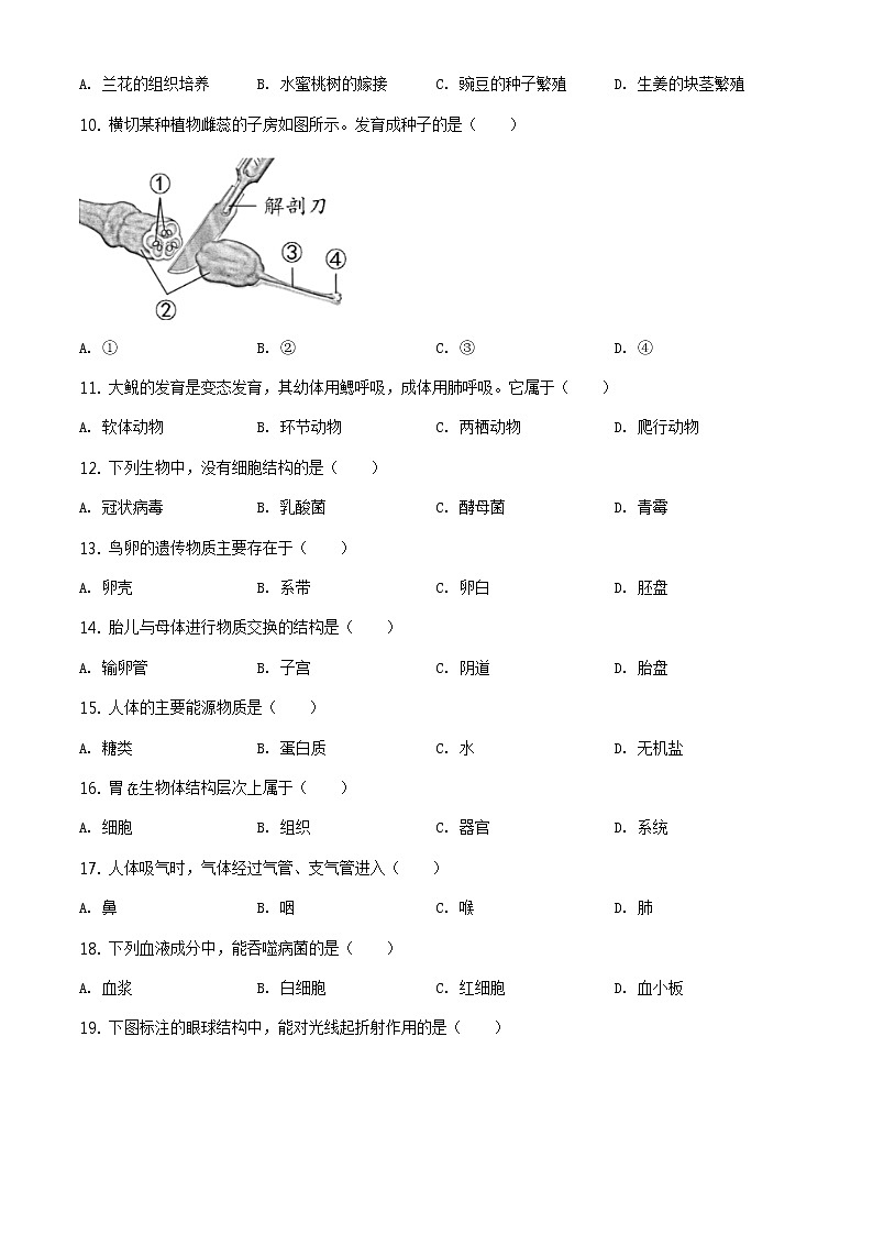 福建省2020年中考生物试题（原卷版＋解析版）02