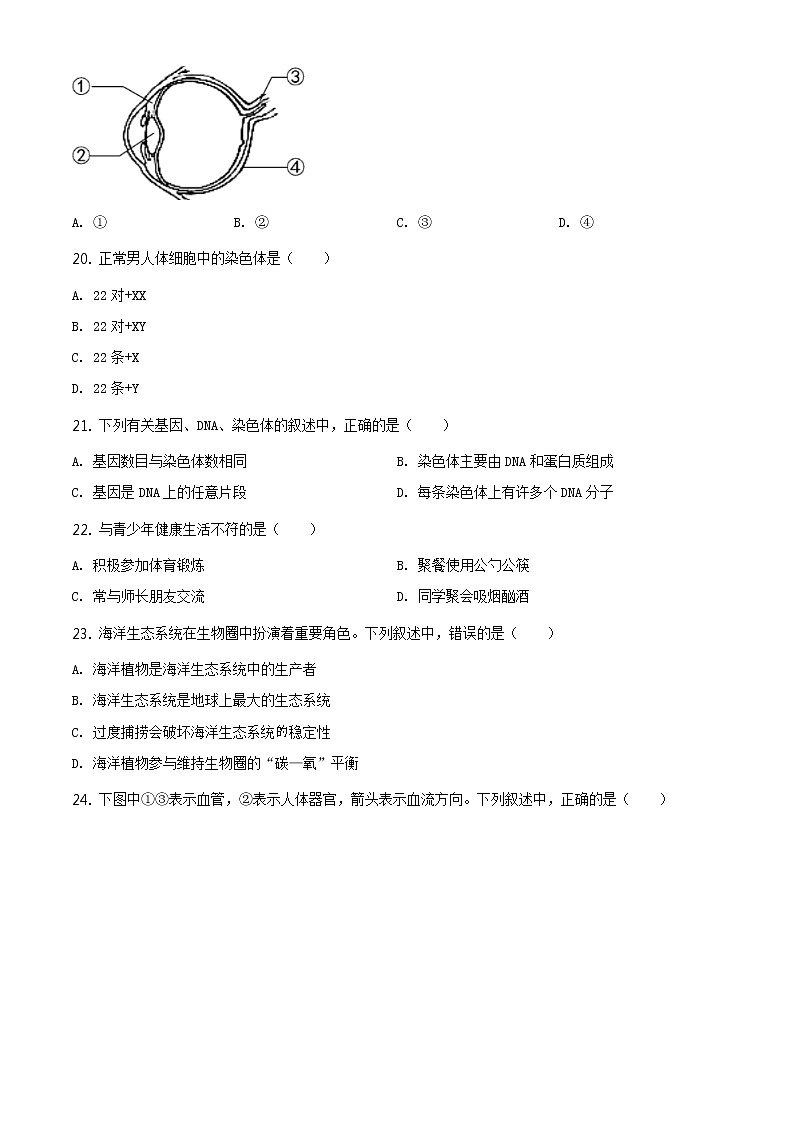 福建省2020年中考生物试题（原卷版＋解析版）03