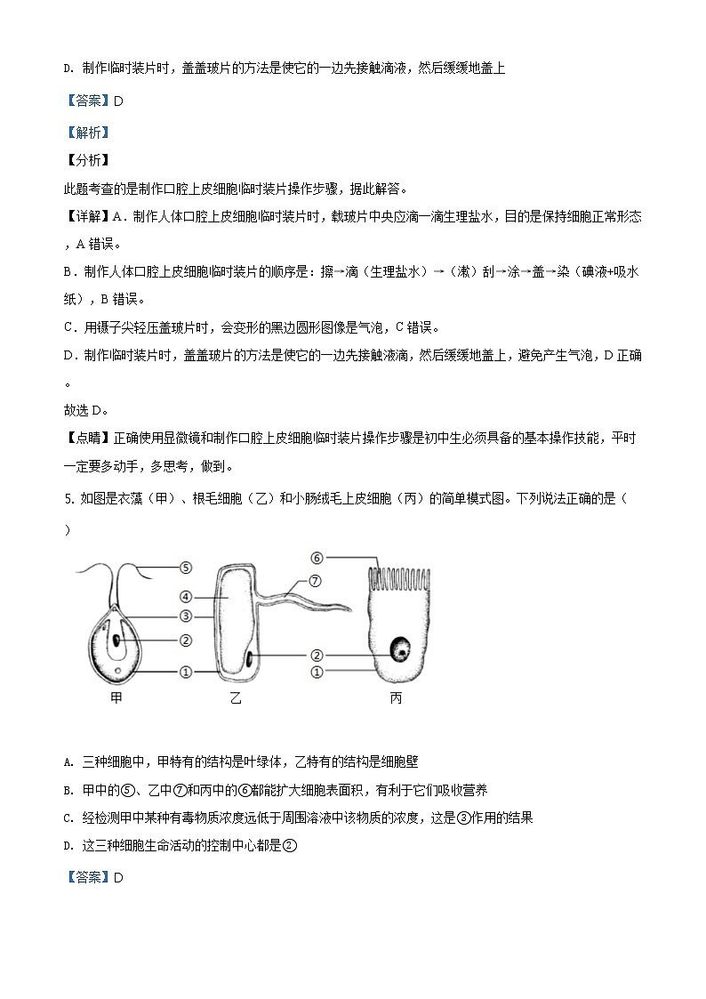 山东省临沂市2020年中考生物试题（原卷版＋解析版）03