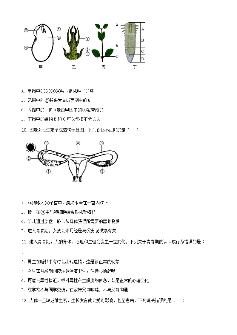 山东省临沂市2020年中考生物试题（原卷版＋解析版）03