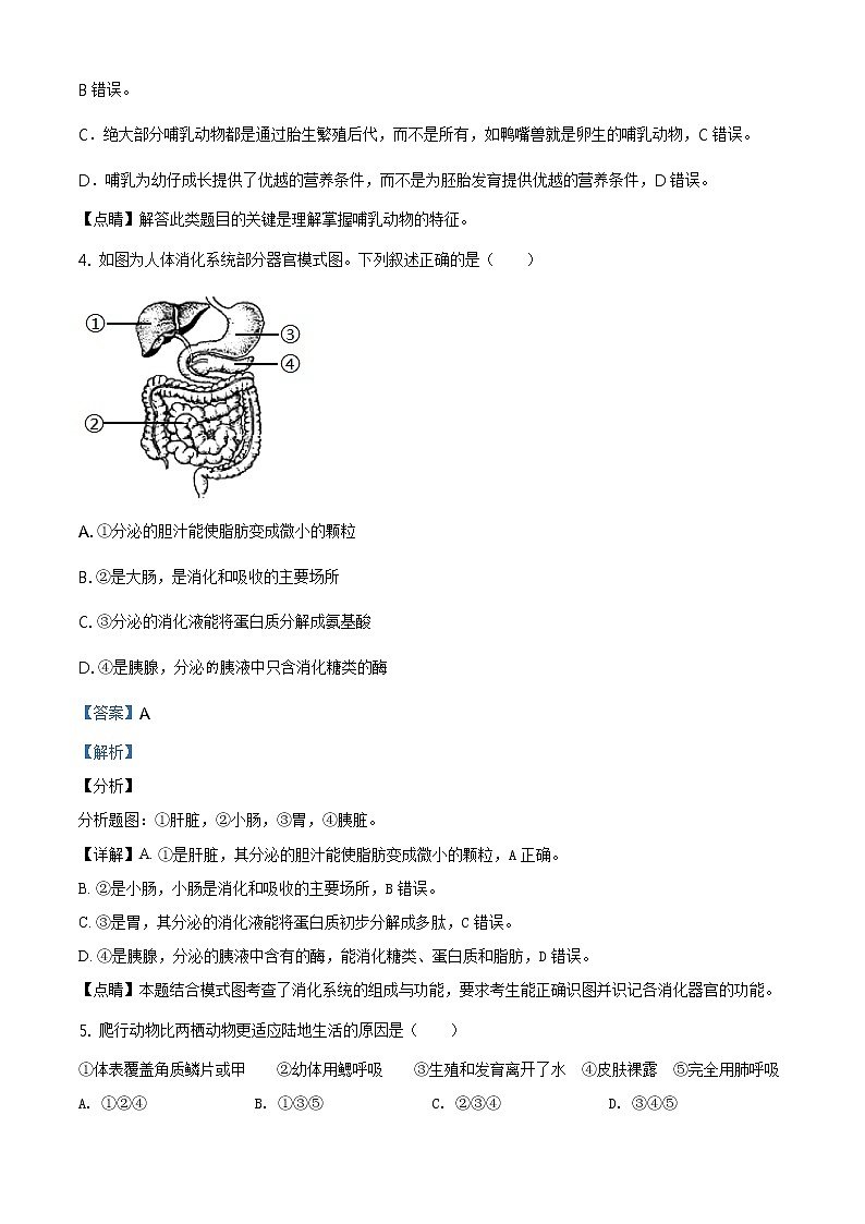 山东省青岛市2020年中考生物试题（原卷版＋解析版）03