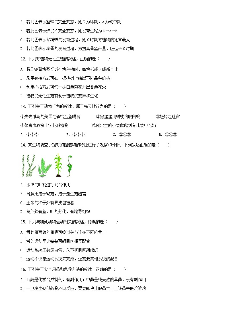 山东省青岛市2020年中考生物试题（原卷版＋解析版）03