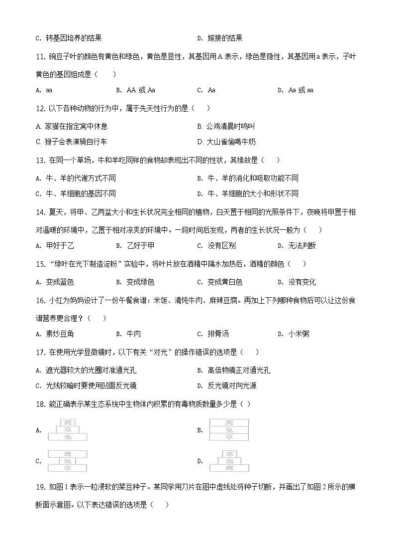 山东省日照市2020年中考生物试题（原卷版＋解析版）02