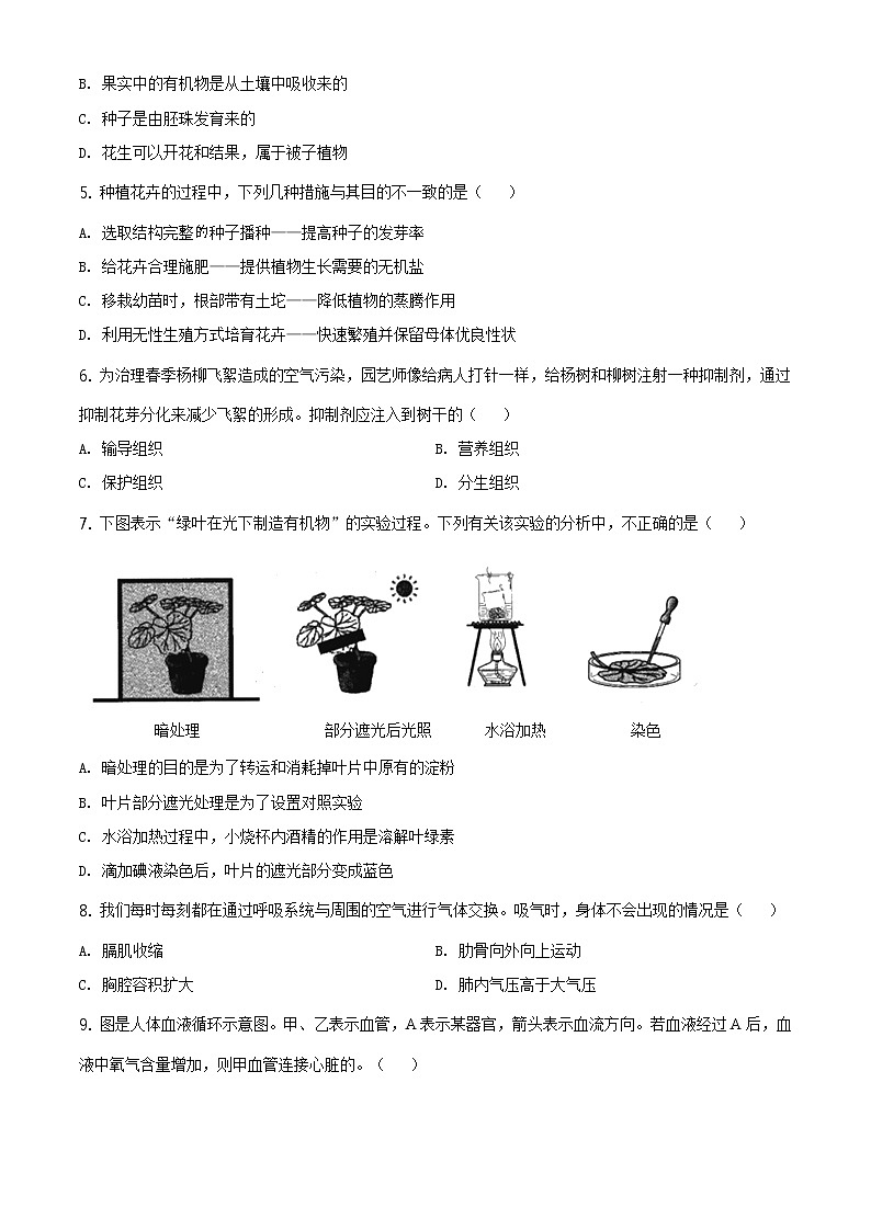 河南省2020年中考生物试题（原卷版＋解析版）02