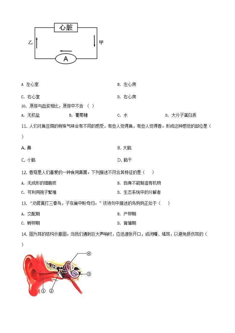 河南省2020年中考生物试题（原卷版＋解析版）03