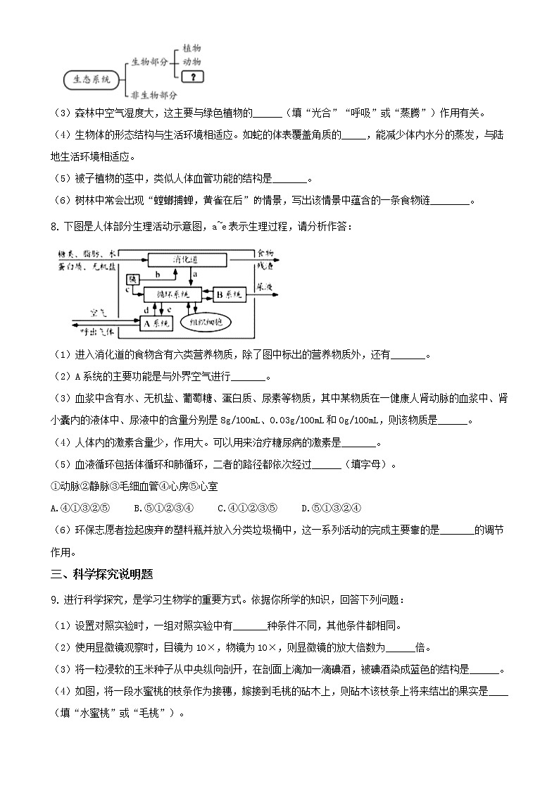 湖北省襄阳市2020年中考生物试题（原卷版＋解析版）02