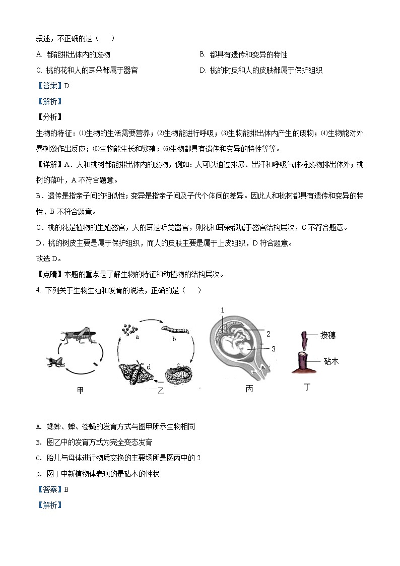 湖南省衡阳市2020中考生物试题（原卷版＋解析版）02