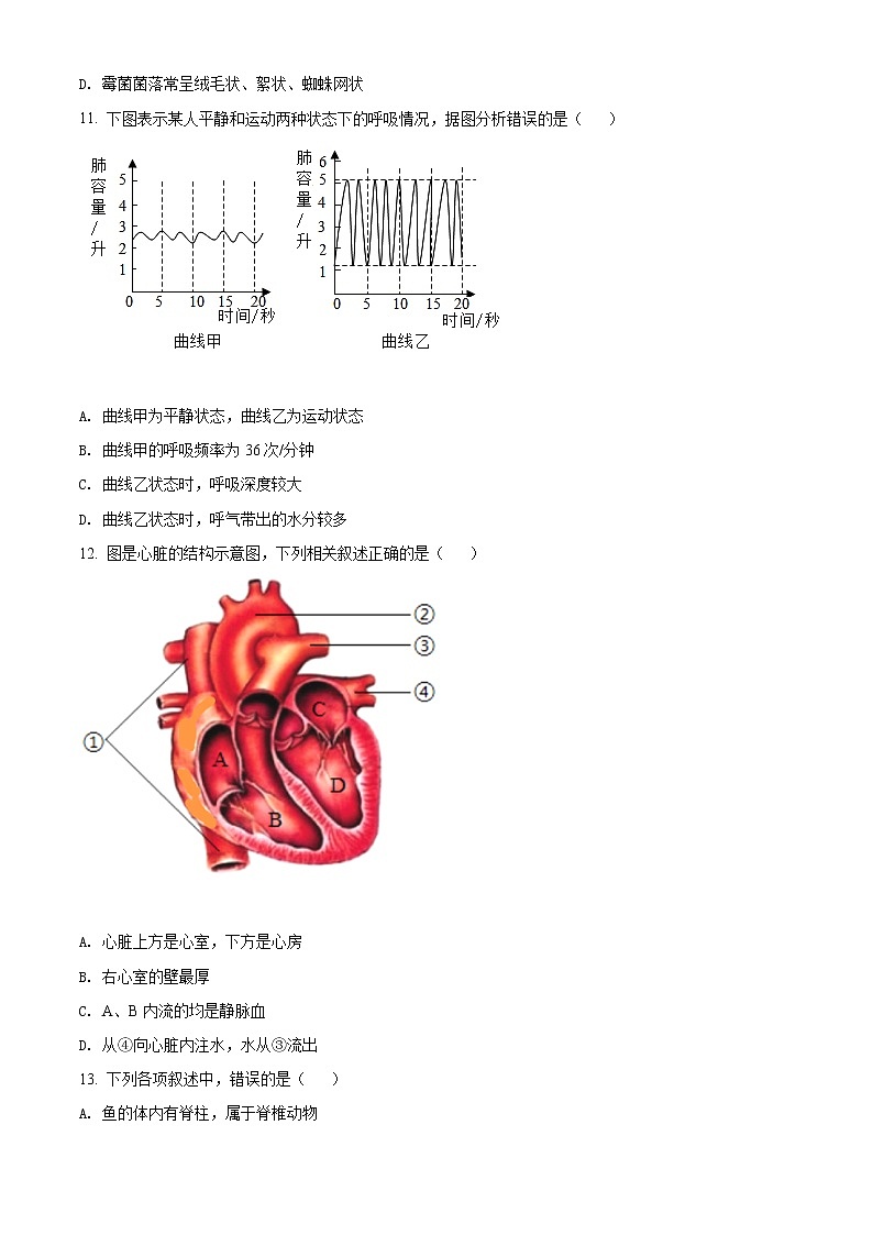 湖南省衡阳市2020中考生物试题（原卷版＋解析版）03
