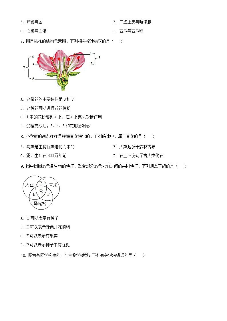 湖南省邵阳市2020年中考生物试题（原卷版＋解析版）02