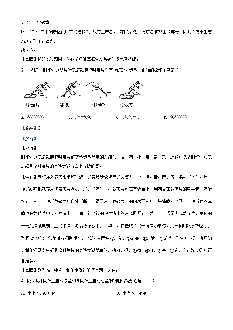湖南省邵阳市2020年中考生物试题（原卷版＋解析版）02
