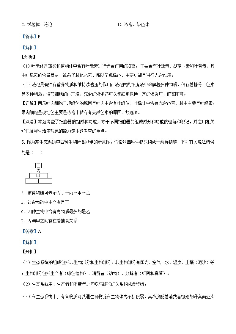 湖南省邵阳市2020年中考生物试题（原卷版＋解析版）03
