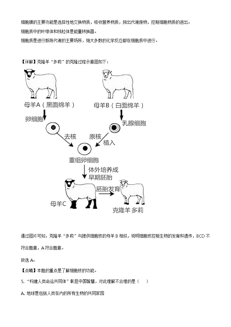 湖南娄底市2020年中考生物试题（原卷版＋解析版）03